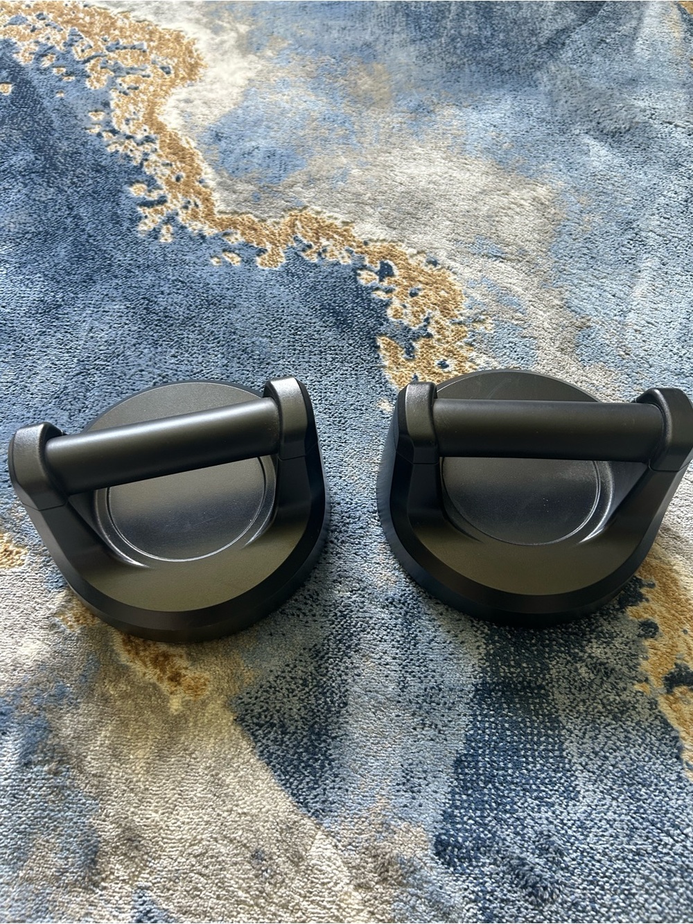 Pair of Black Push-Up Handles